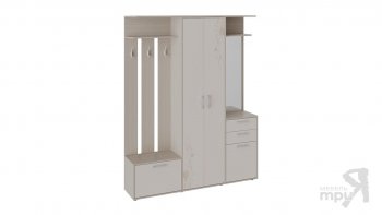 Набор мебели для прихожей «Витра» Тип 2(трия) в Болотное - mebel154.com
