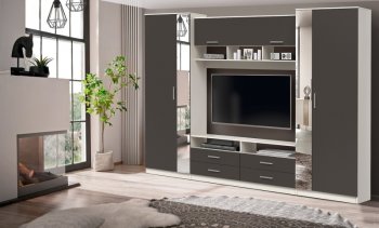 ШМЦ Вена 91.01 с зеркалом в Болотное - mebel154.com