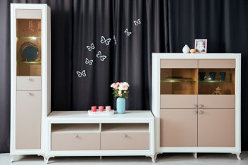 Гостиная Саванна в Болотное - mebel154.com