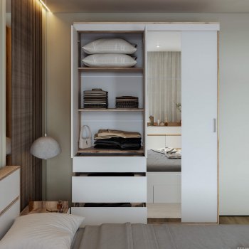 Шкаф-купе Брауни 1.5м в Болотное - mebel154.com