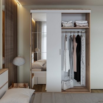 Шкаф-купе Брауни 1.5м в Болотное - mebel154.com