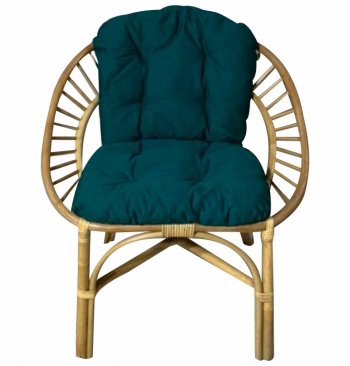 Кресло RJG-Princess (Ротанг №4, ткань JPN DRILL 034) в Болотное - mebel154.com