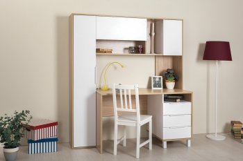 Компьютерный стол Комфорт 12.95 в Болотное - mebel154.com