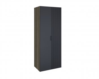 Шкаф 2-х Борнео ШК-173 в Болотное - mebel154.com