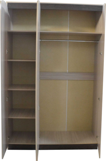 Шкаф 3-х дверный Агата в Болотное - mebel154.com