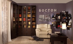 Шкаф для книг угловой 33 Бостон в Болотное - mebel154.com