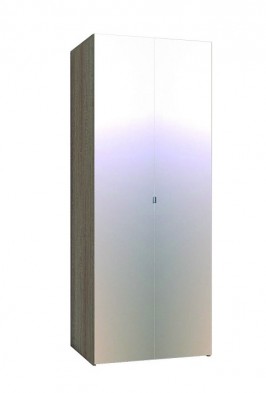 Шкаф для одежды 2-х дверный 35-3 WYSPAA в Болотное - mebel154.com