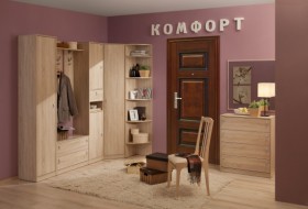 Шкаф для одежды 2-х дверный 6 Комфорт в Болотное - mebel154.com