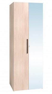 Шкаф для одежды 2-х дверный 8 Bauhaus в Болотное - mebel154.com