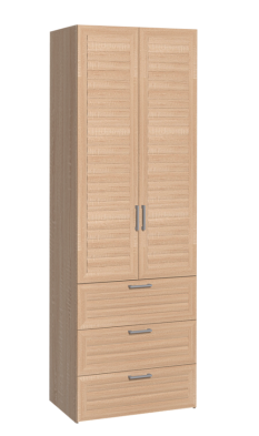 Шкаф для одежды 2-х дверный с ящ 12 Регата в Болотное - mebel154.com