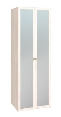 Шкаф для одежды 2-х дверный с зеркалом 54-2 Бриз в Болотное - mebel154.com