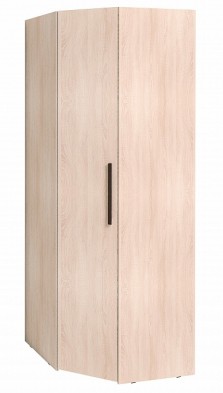 Шкаф для одежды угловой 12 Bauhaus в Болотное - mebel154.com