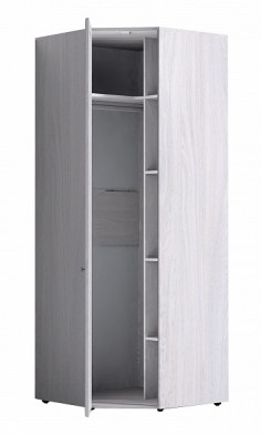 Шкаф для одежды угловой 56-2 Paola в Болотное - mebel154.com