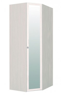 Шкаф для одежды угловой с зеркалом 56-2 Марсель в Болотное - mebel154.com