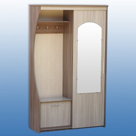 Шкаф для прихожей-2 в Болотное - mebel154.com